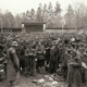 Illustration for article titled These Previously Unseen Photos Bear Witness to the Carnage of World War II